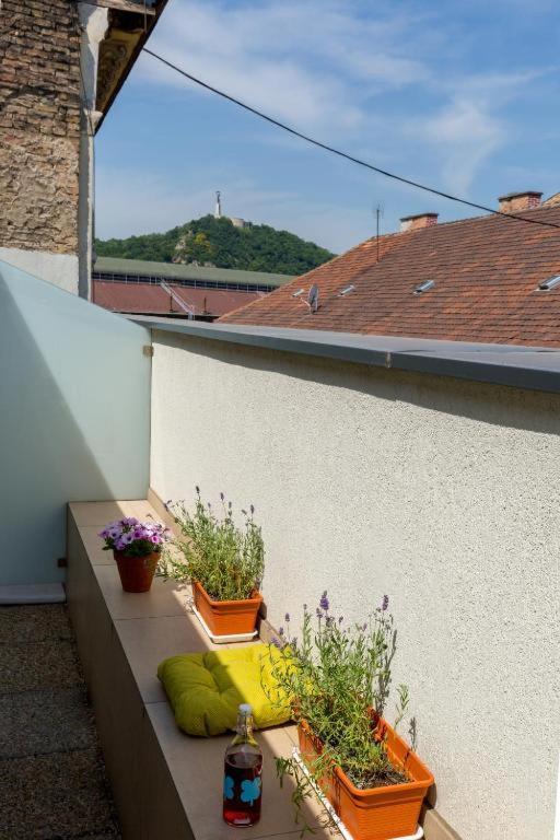 בודפשט Erkel Rooftop Suites מראה חיצוני תמונה